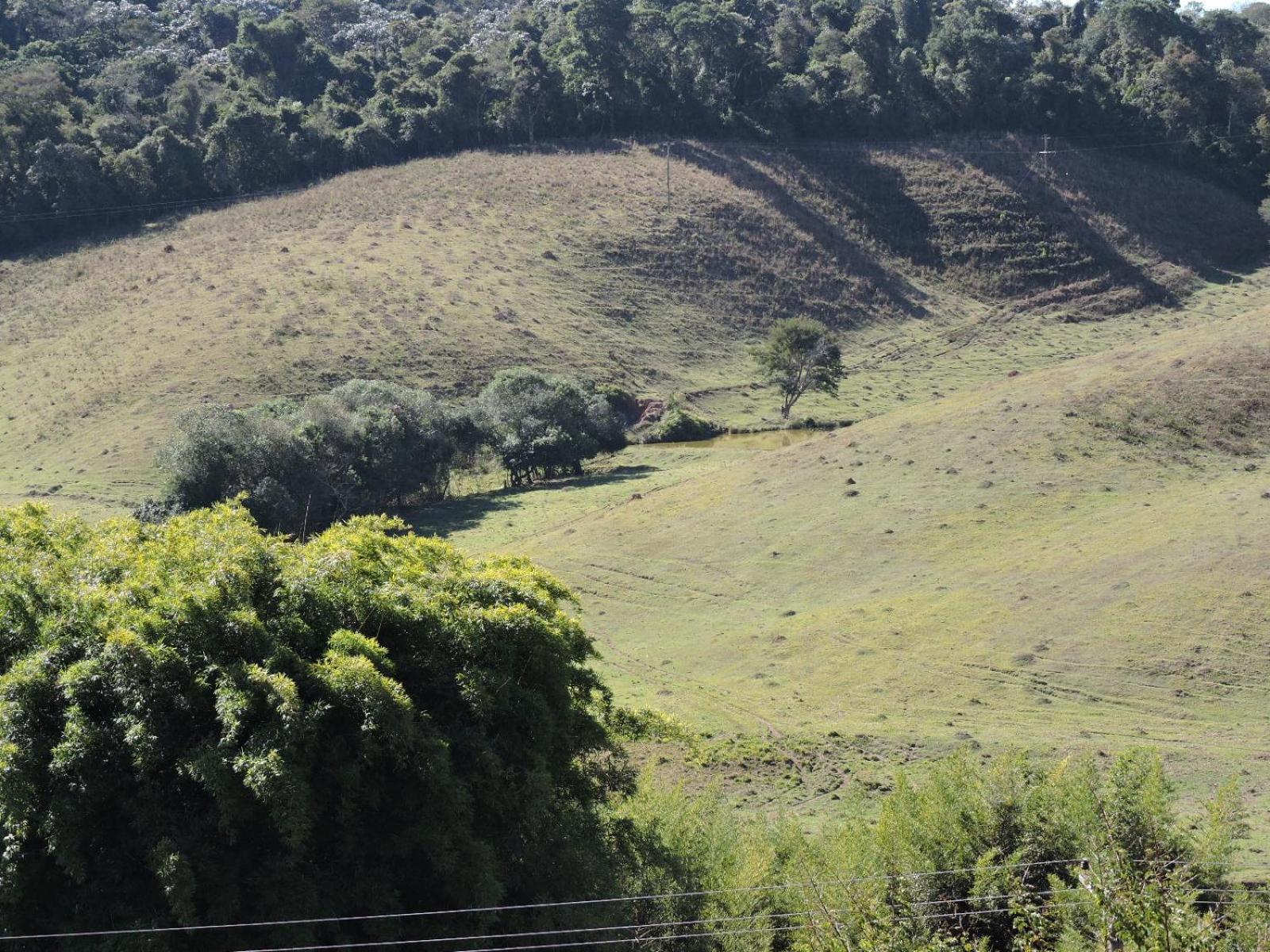 Pousada Vista Verde Cunha Pokój zdjęcie